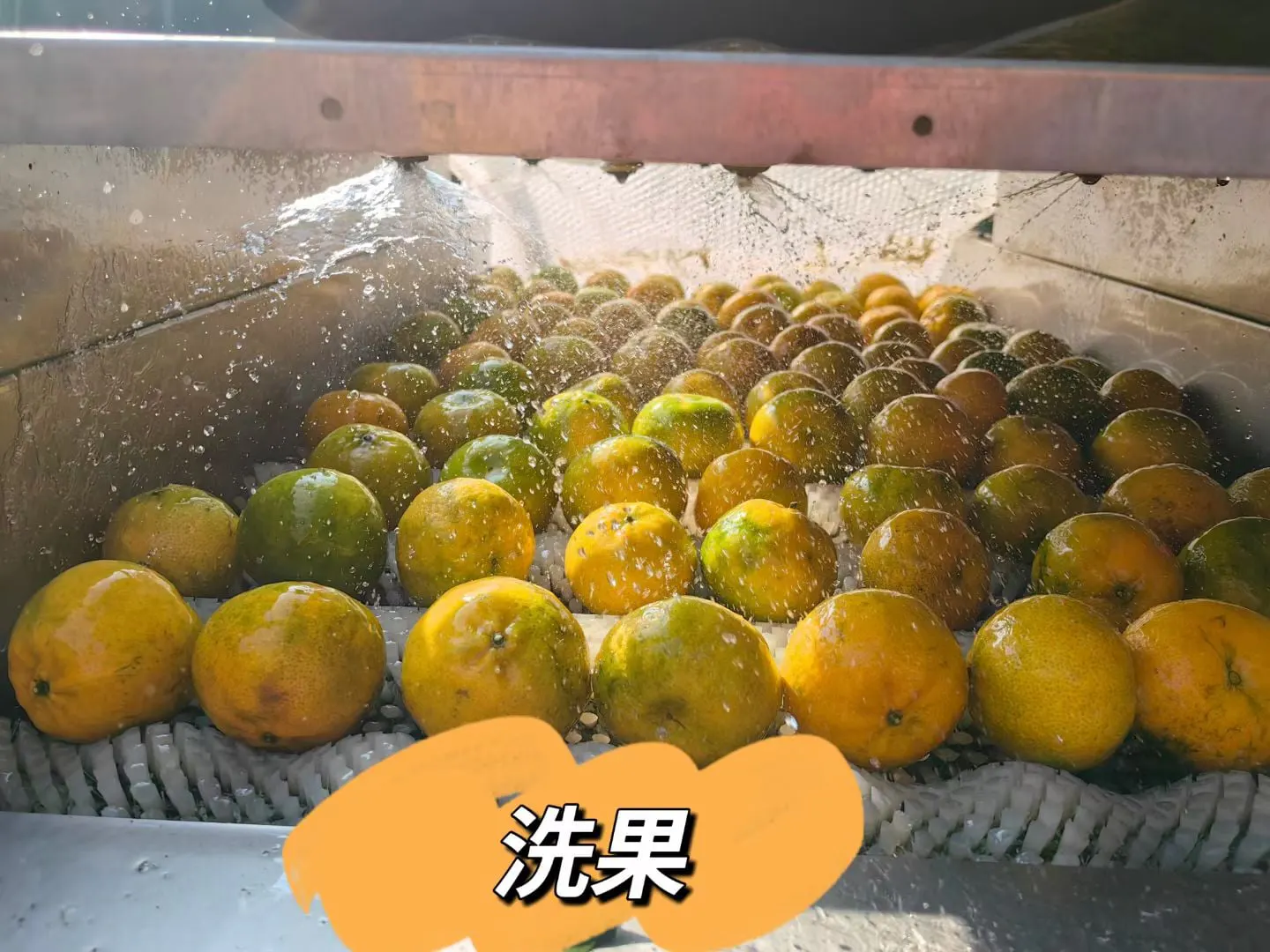 洗果